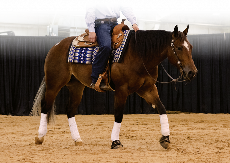 Sales Triangle Horse Sales