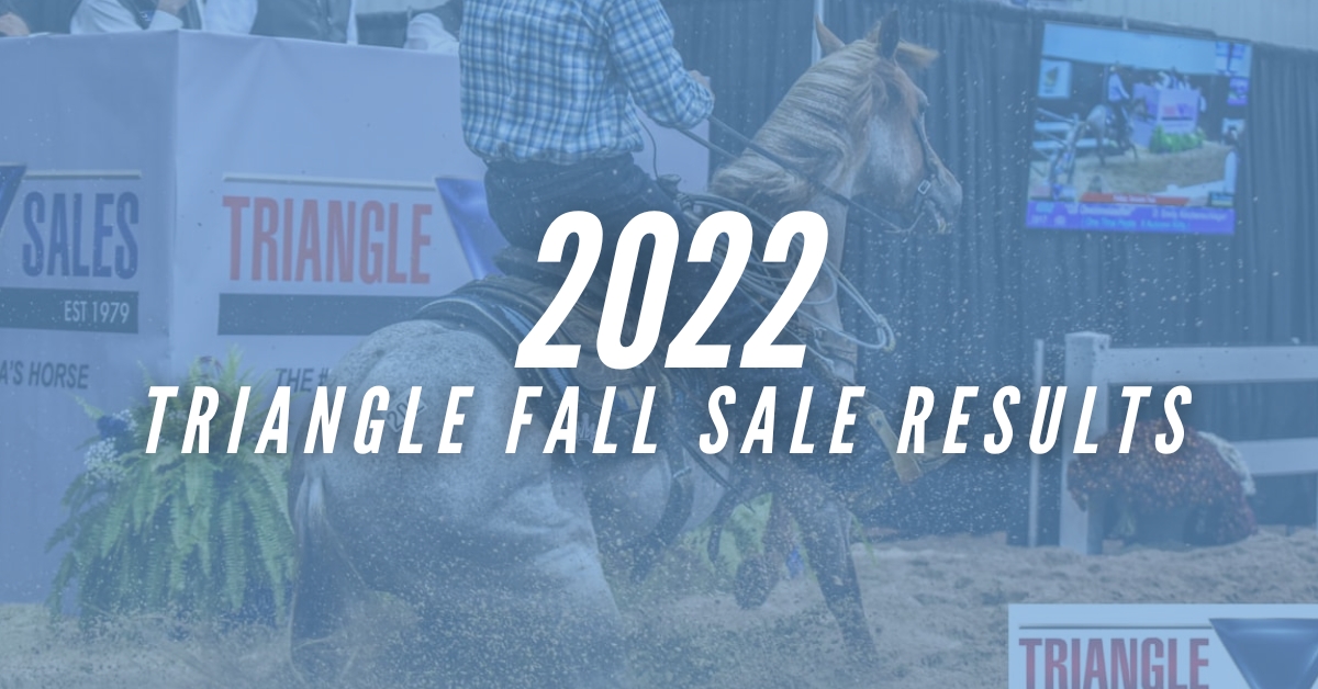 SALE HIGHLIGHTS NEWS Triangle Horse Sales