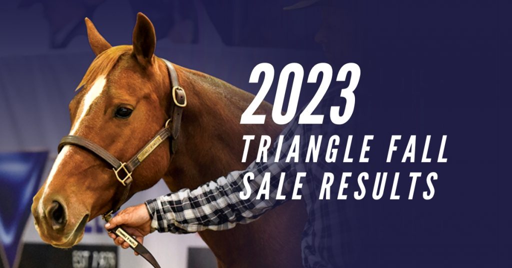 SALE HIGHLIGHTS NEWS Triangle Horse Sales