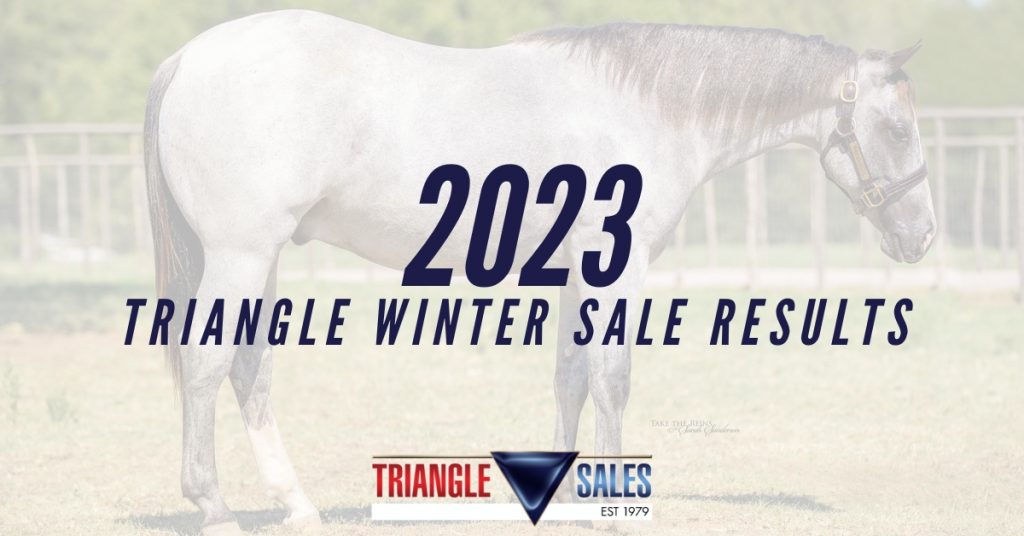 SALE HIGHLIGHTS NEWS Triangle Horse Sales