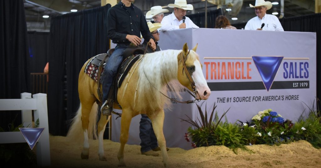 SALE HIGHLIGHTS NEWS Triangle Horse Sales