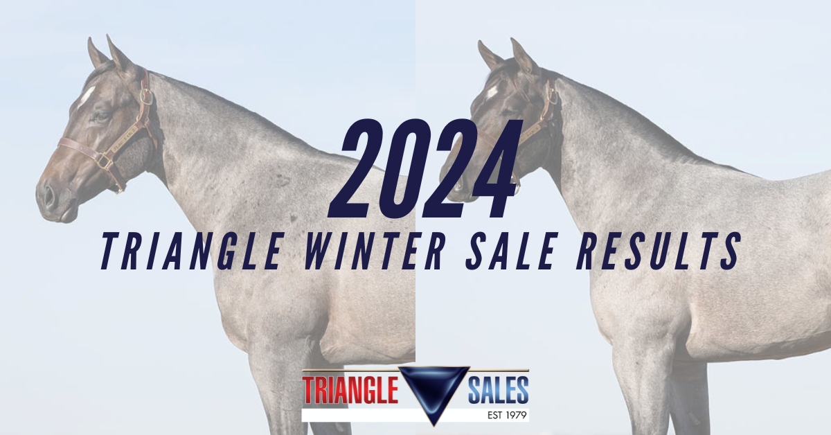SALE HIGHLIGHTS NEWS Triangle Horse Sales