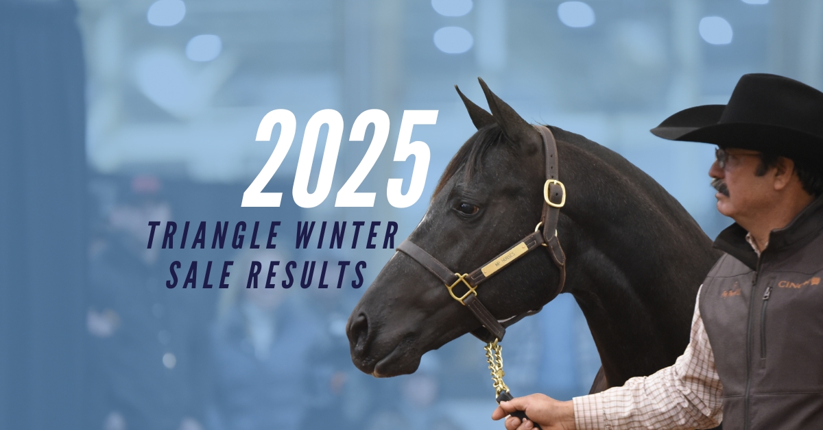SALE HIGHLIGHTS - NEWS - Triangle Horse Sales